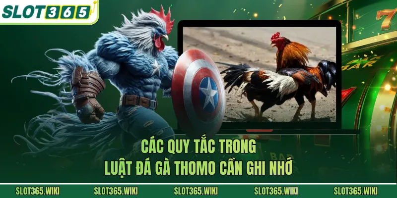 Các quy tắc trong luật đá gà Thomo cần ghi nhớ
